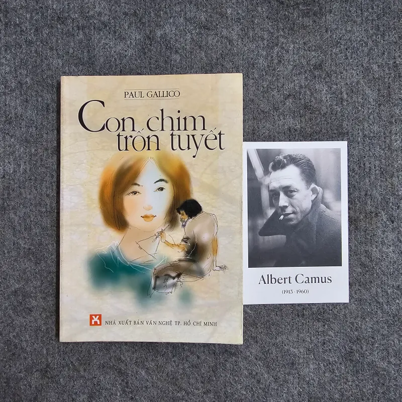 Con chim trốn tuyết 1004997