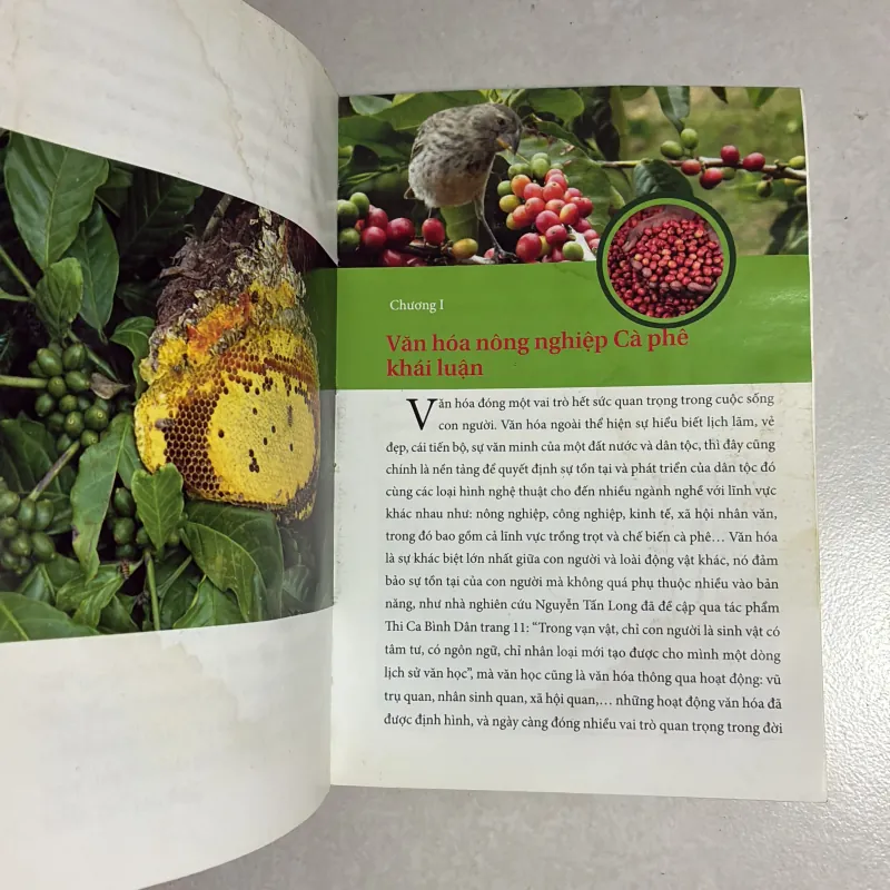 Tình yêu cà phê Việt (có ẩm) - Trương Phú Thiện 784825