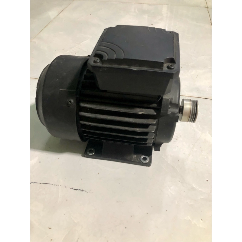 Động cơ kéo 3pha Made in Eu 446720