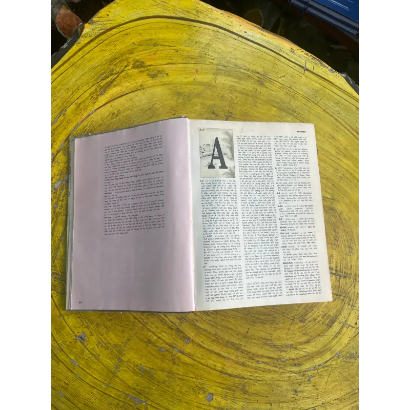 ĐẠI TỪ ĐIỂN ANH - VIỆT - ENGLISH - VIETNAMESE DICTIONARY 730608