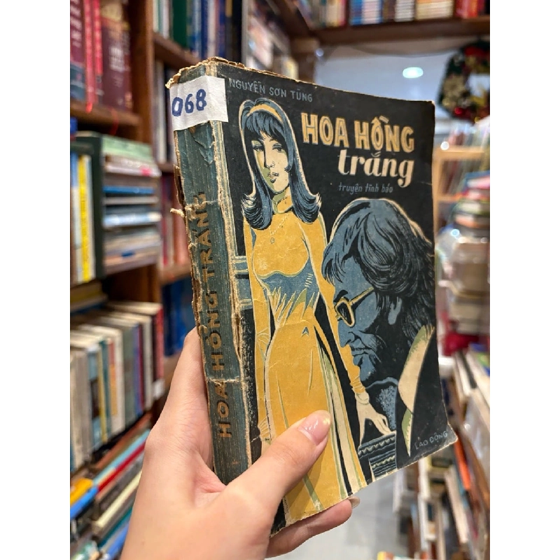 HOA HỒNG TRẮNG - SƠN TÙNG 129212