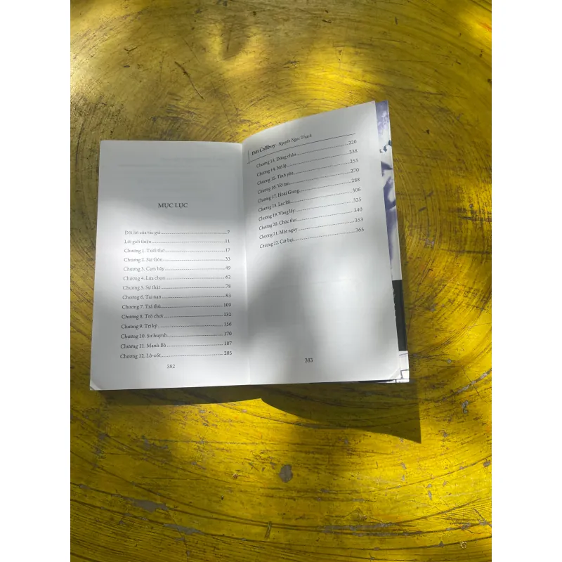 ĐỜI CALLBOY- NGUYỄN NGỌC THẠCH 722838