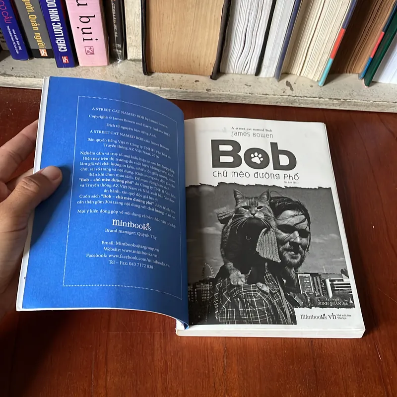 II Tự Truyện: Bob, Chú Mèo Đường Phố - JAMES BOWEN - 2017 569287