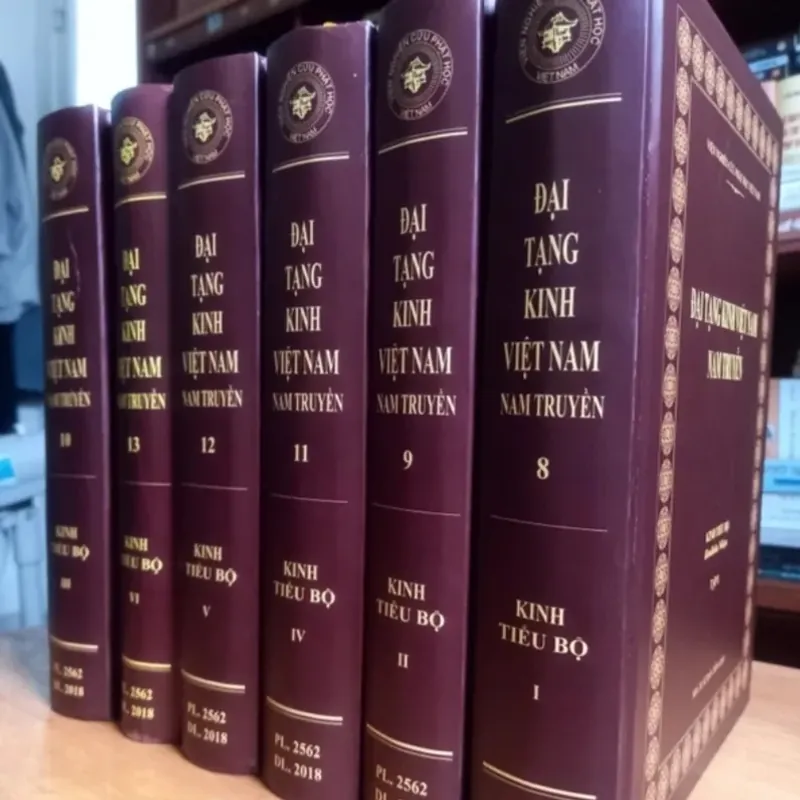 Đại Tạng Kinh Việt Nam Nam Truyền (Trọn Bộ 13 Cuốn Kinh Nikaya) 548517