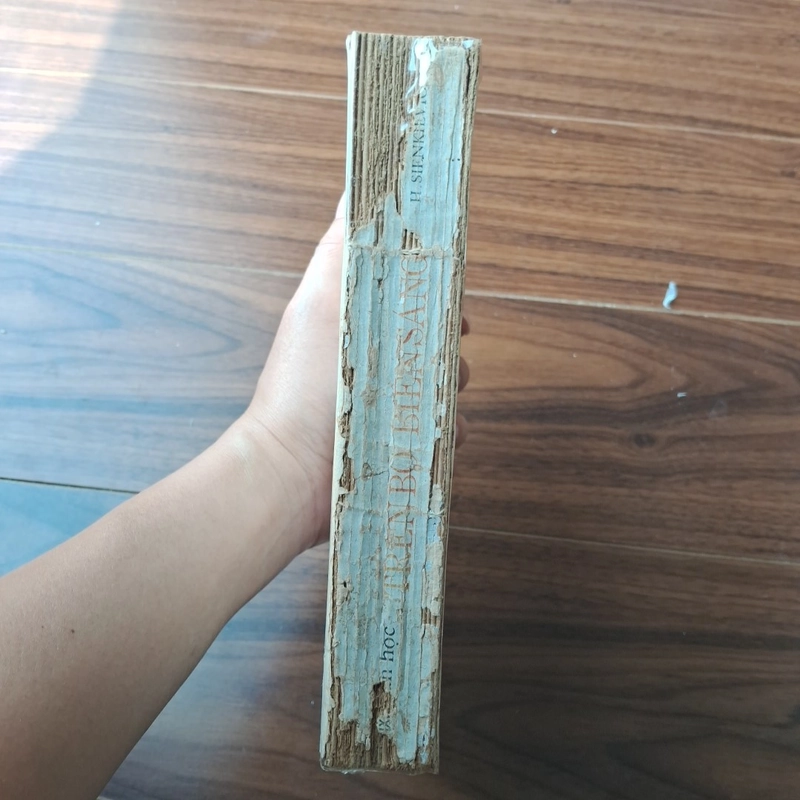 Trên bờ biển sáng 506404