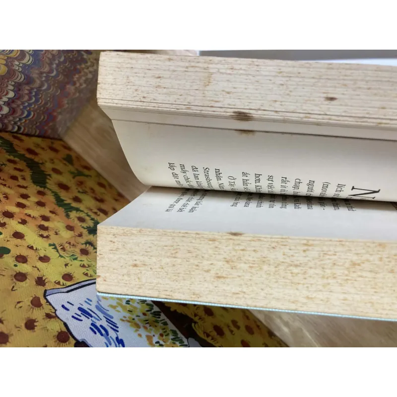 Tại Sao Các Quốc Gia Thất Bại - Daron Acemoglu, James A. Robinson (Bản In Lần Đầu) 1008595