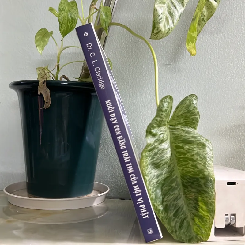 Nuôi con bằng trái tim của một vị phật 746424