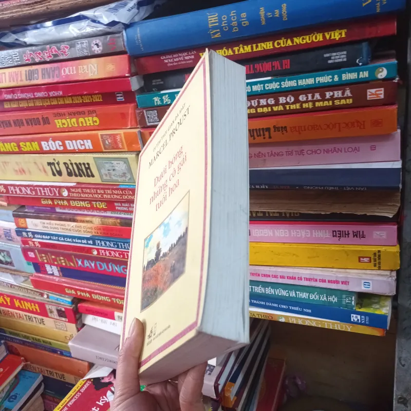Dưới Bóng Những Cô Gái Tuổi Hoa- Marcel Proust 749595