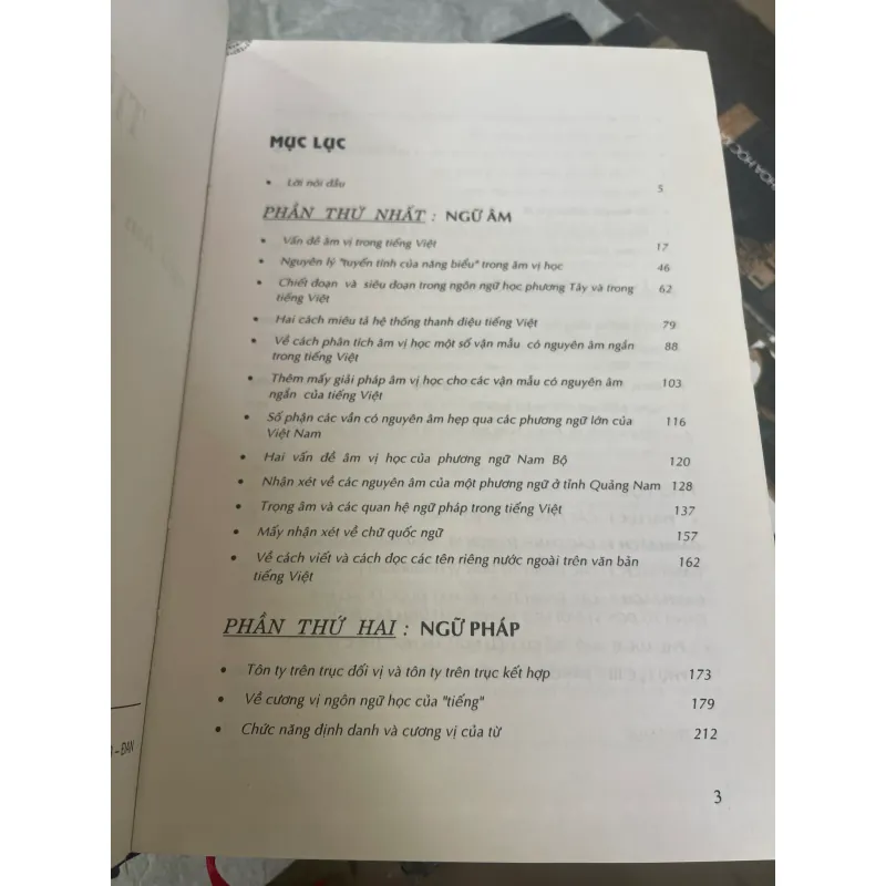 TIẾNG VIỆT - CAO XUÂN HẠO  1032022