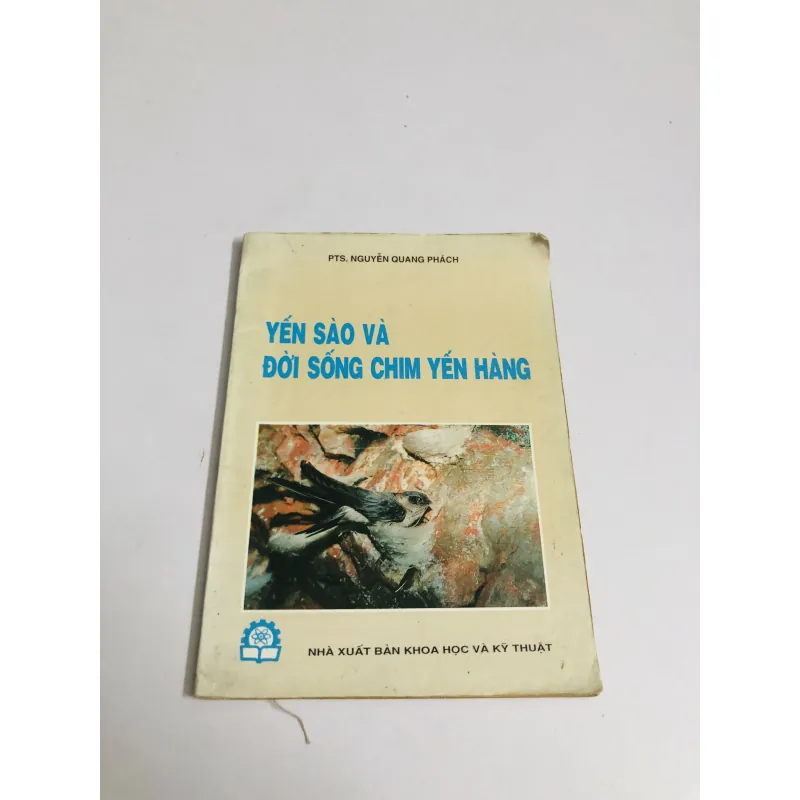 YẾN SÀO VÀ ĐỜI SỐNG CHIM YẾN HÀNG 749083