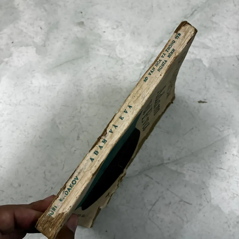 Adam và Eva 1031597