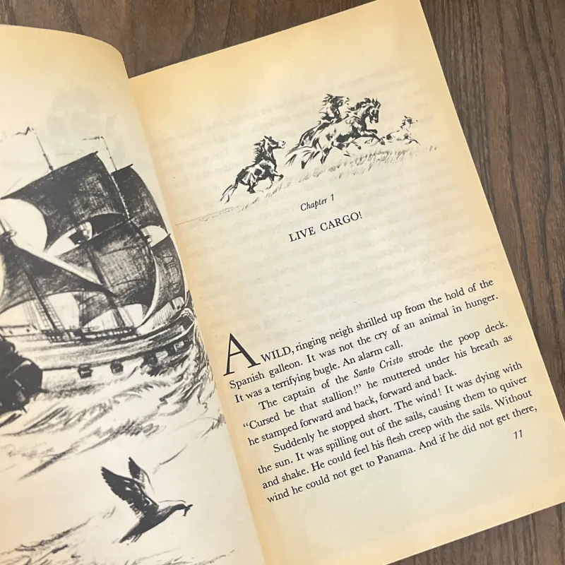 ✨𝑴𝒊𝒔𝒕𝒚 𝒐𝒇 𝑪𝒉𝒊𝒏𝒄𝒐𝒕𝒆𝒂𝒈𝒖𝒆✨ (Newbery Honor Book) 709264