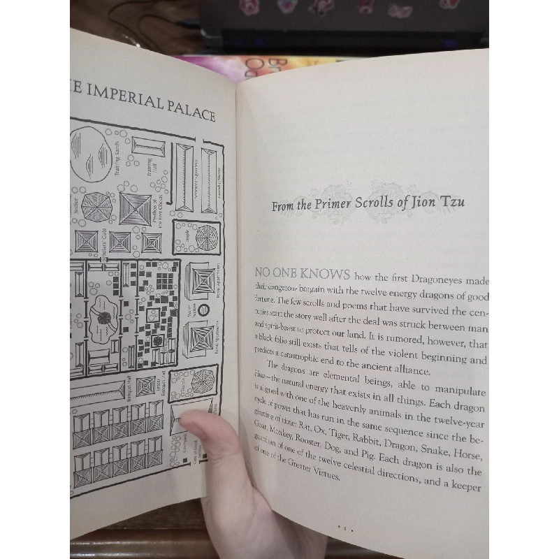 Eon: Dragoneye reborn - Alison Goodman 507238