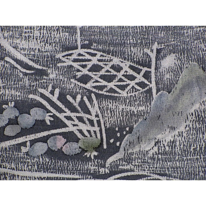 Áo khoác / Đường đi bộ 2 món - Hàng hiệu Authentic 878064