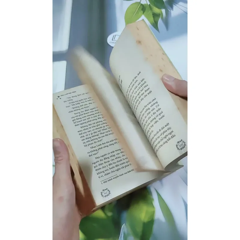 Hàng Đã Nhận, Miễn Trả Lại! - Mèo Lười Ngủ Ngày 744727