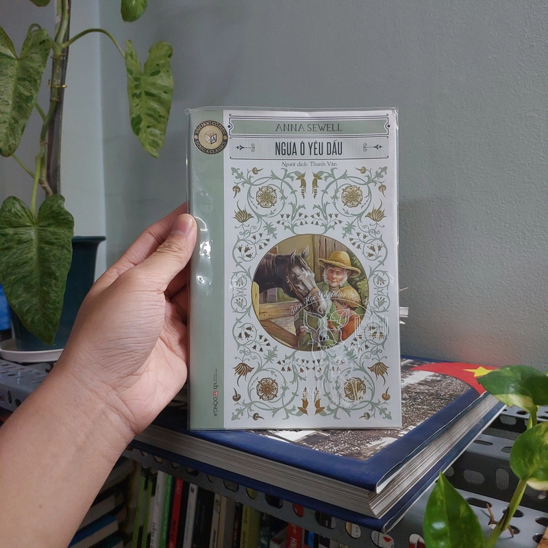NGỰA Ô YÊU DẤU 504547