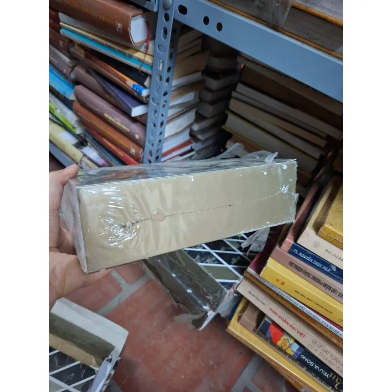 Combo 5 cuốn sách của Viện Goethe.  1002759