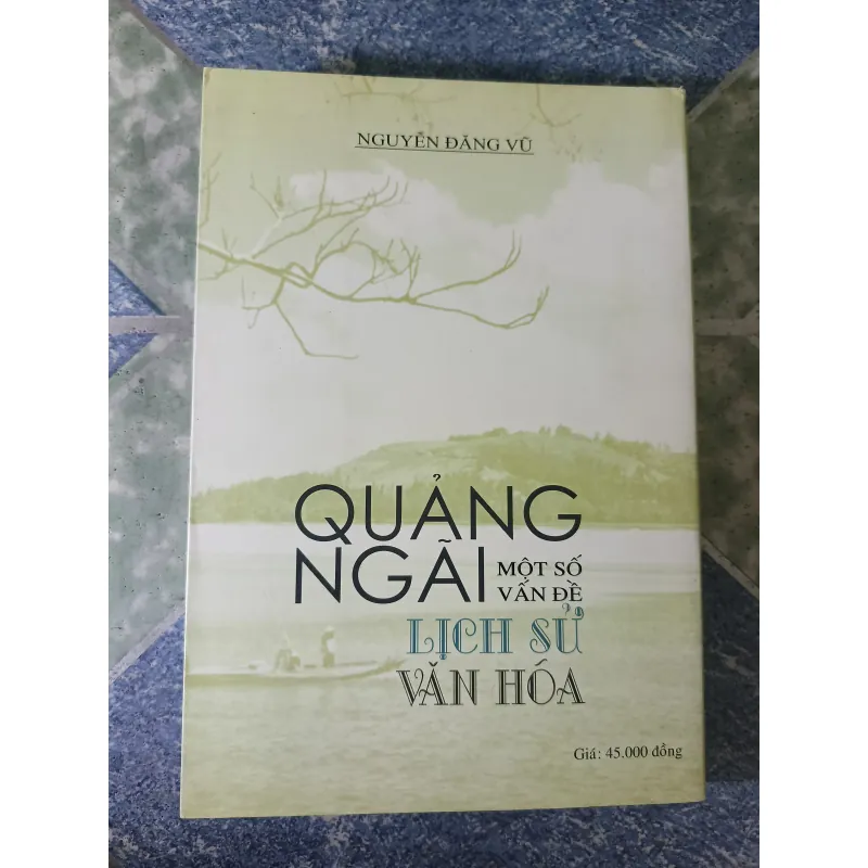 Một số vấn đề lịch sử văn hóa Quảng Ngãi - Nguyễn Đăng Vũ 782632