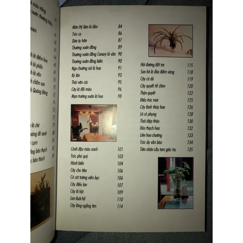 Kỹ thuật trồng hoa và cây lá trong nước 722961