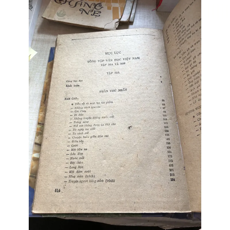 Tổng tập văn học Việt Nam 993263
