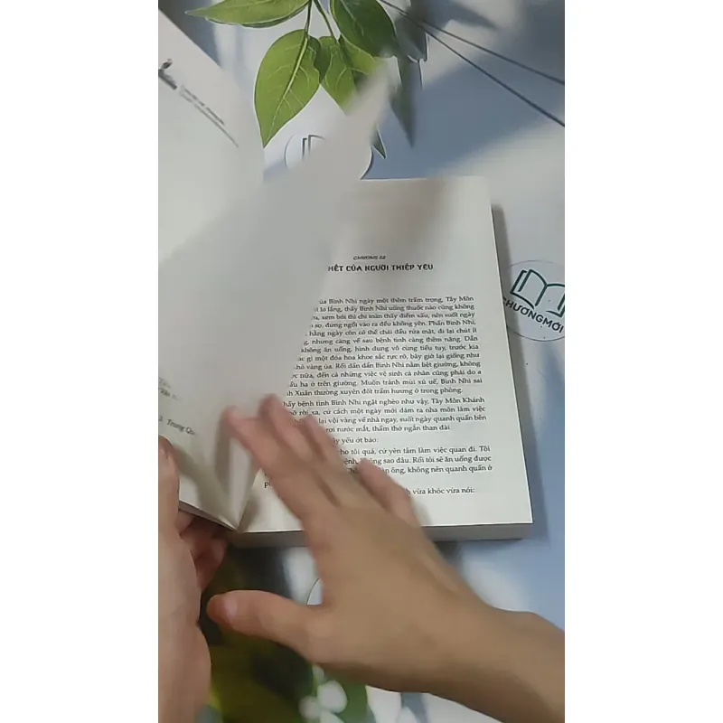 Kim Bình Mai 2 688581