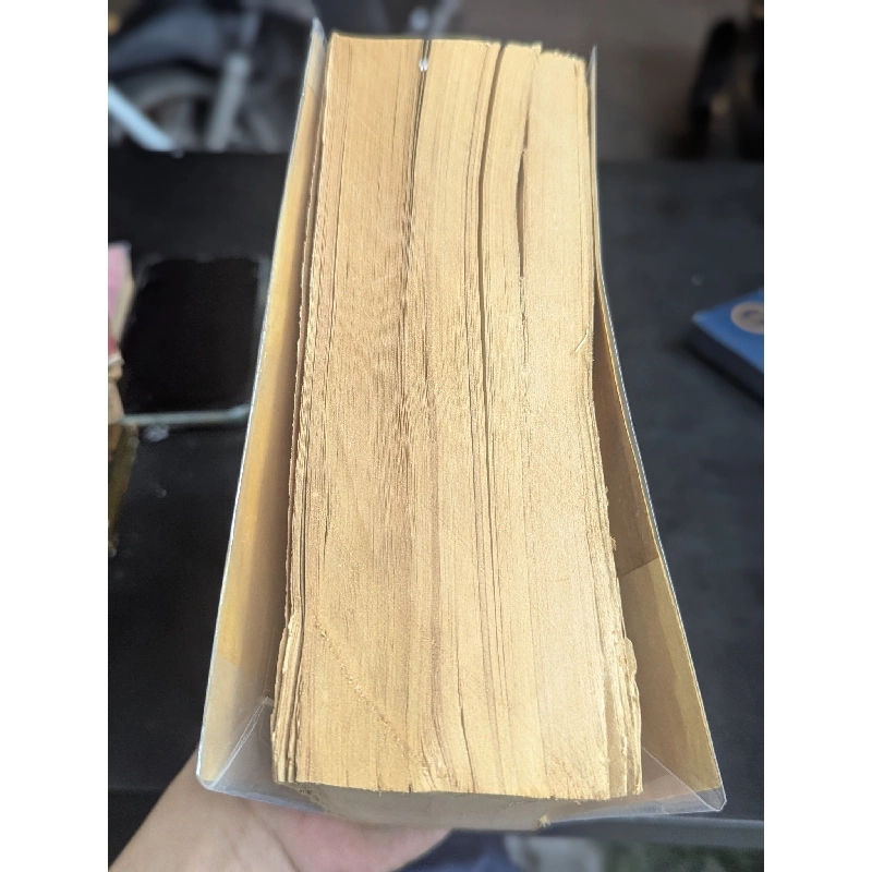 Tội Ác và Hình Phạt - Dostoievski ( Dịch Giả Lý Quốc Sinh ) 304402