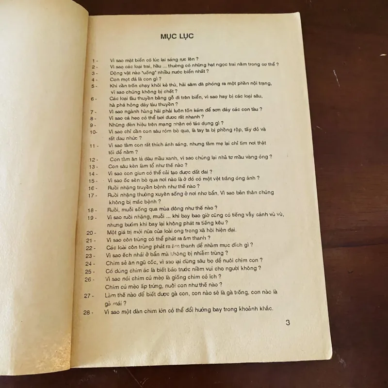 Những câu hỏi lý thú (1991) 974228