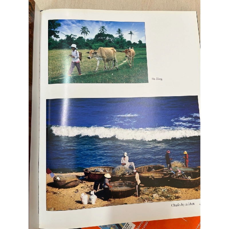 Quê hương và đồng dội - Từ Lương Vân 752593