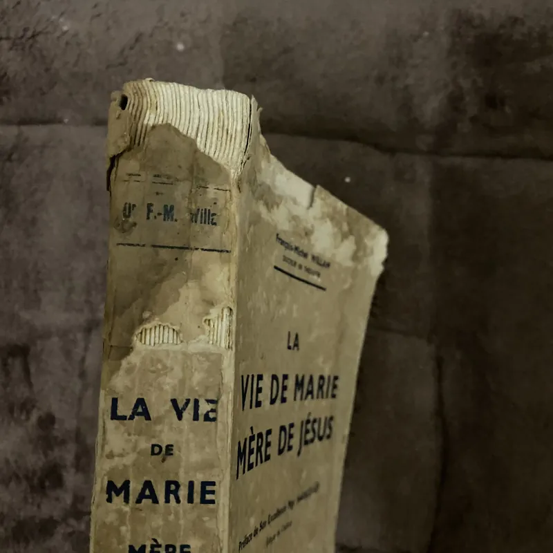 La vie de marie mère de jésus 194x  629264
