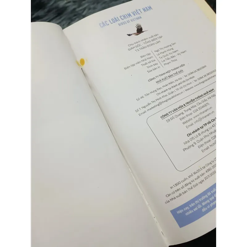 Các loài chim Việt Nam (Lê Mạnh Hùng) 736179