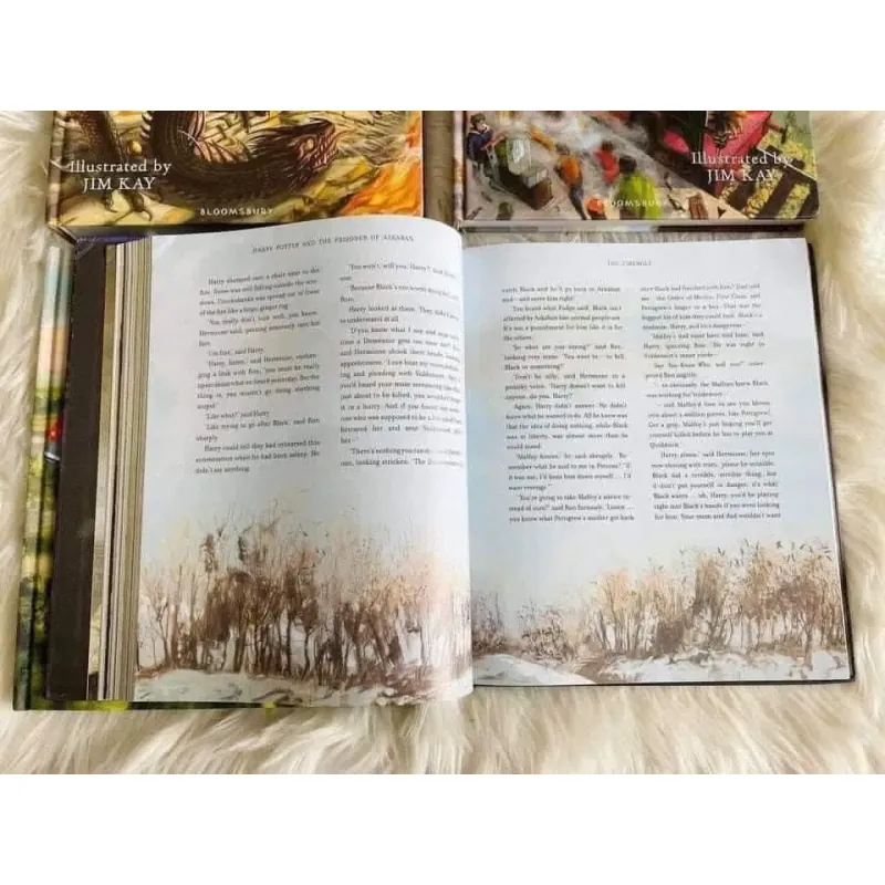 SÁCH - HARRY POTTER 5 cuốn bìa cứng bản màu đẹp tuyệt vời tặng audio 756666