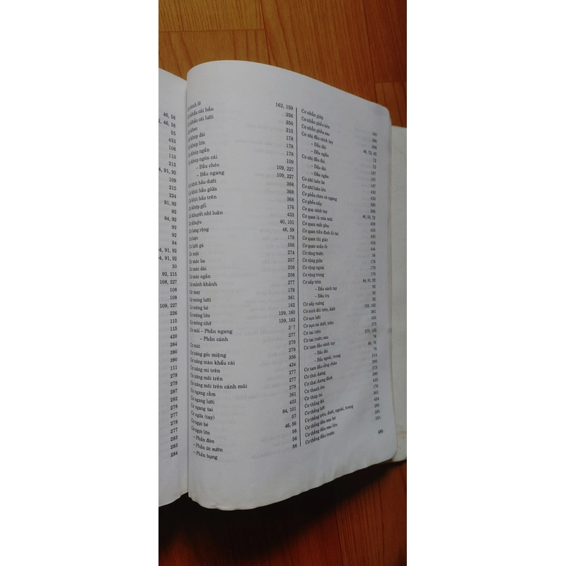 GIẢI PHẪU HỌC  505180