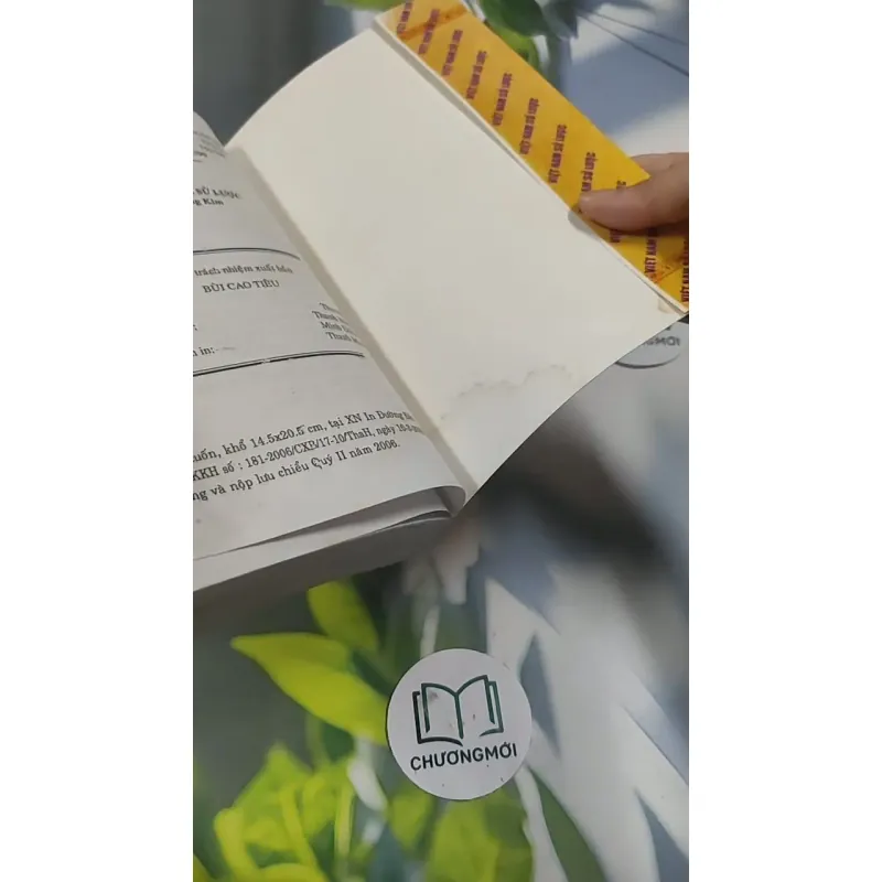 Việt Nam Sử Lược 715609