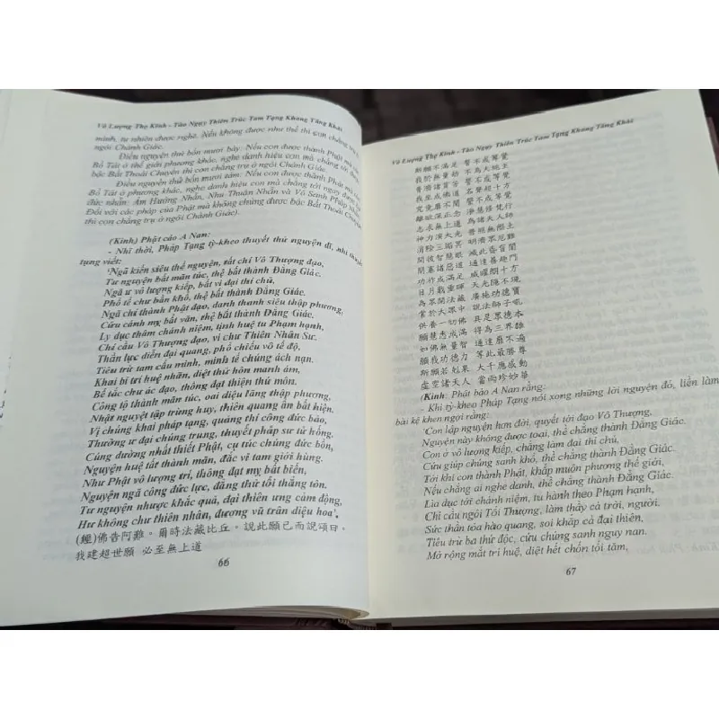 Tịnh độ tông kinh luận 698250