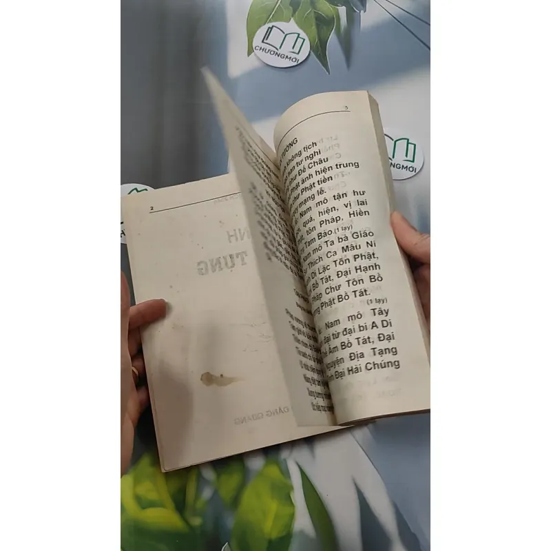 Kinh Nhật Tụng - Thích Đăng Quang 775970