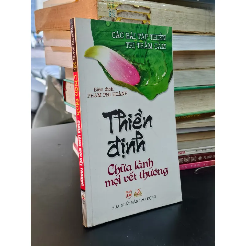 Thiền định chữa lành mọi vết thương - Phạm Phi Hoành dịch 712267