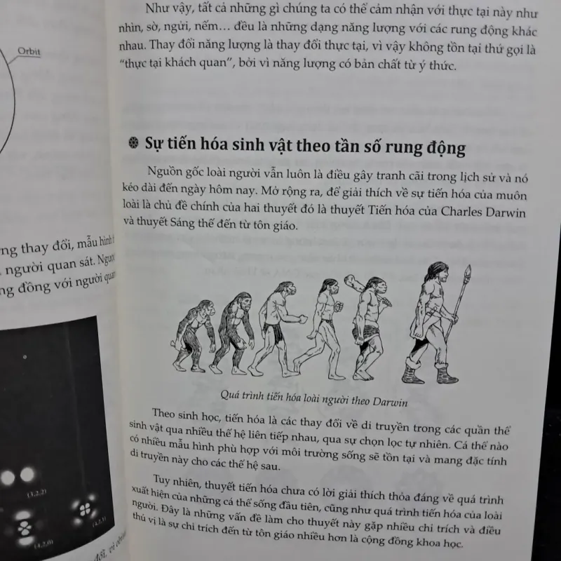 Luật tâm thức 1002770