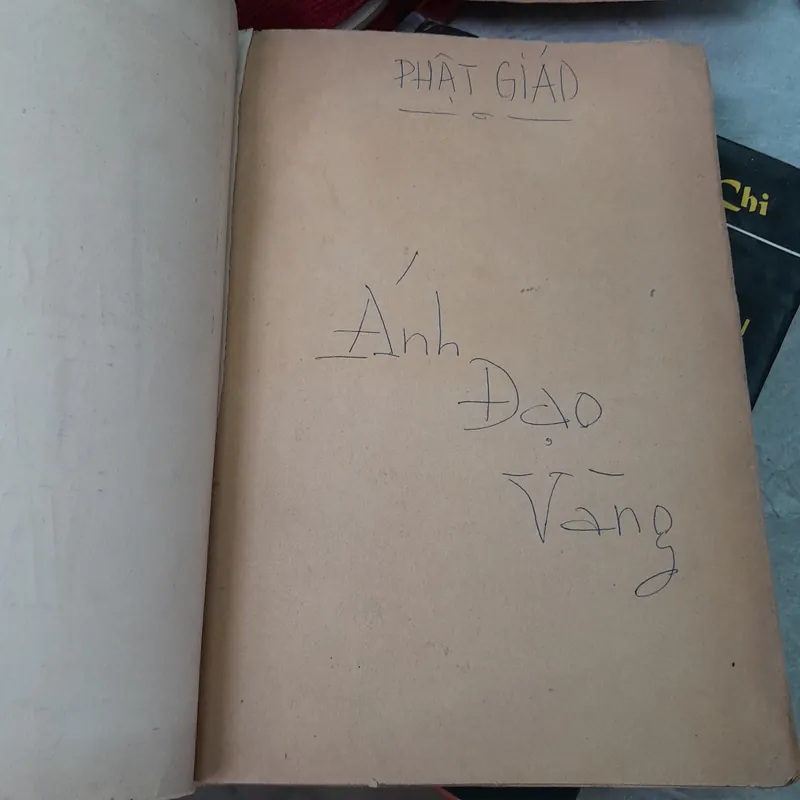 ÁNH ĐẠO VÀNG - VÕ ĐÌNH CƯỜNG 729068