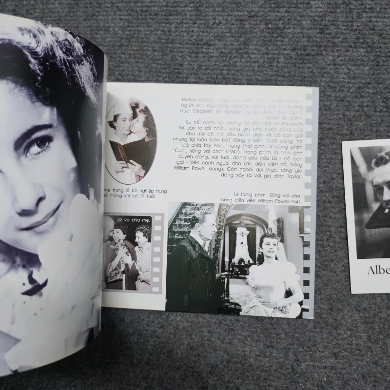 Tạp chí nghệ thuật điện ảnh - Elizabeth Taylor 1030657