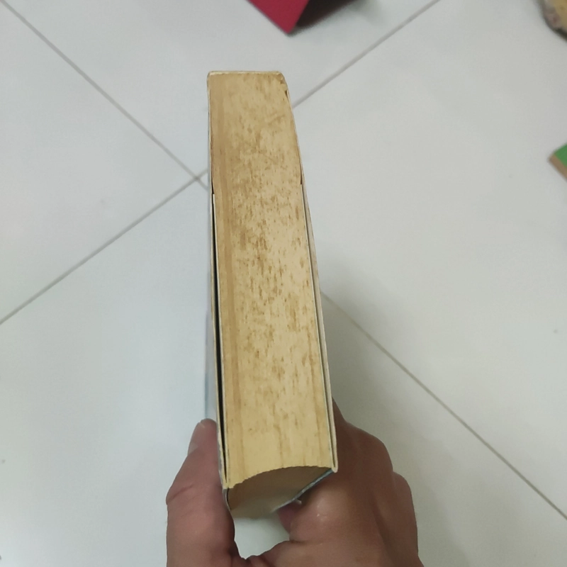 Nụ hôn của nàng công chúa biển  392987