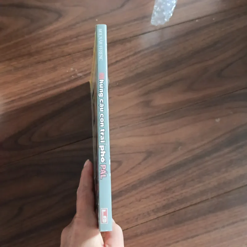 Những cậu con trai phố pal 763355