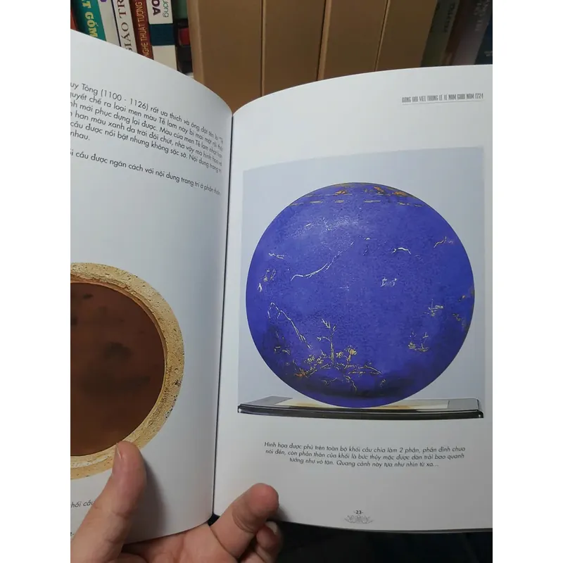 Rồng Đại Việt 644238