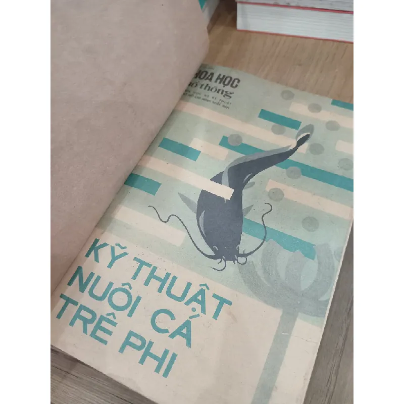 Kỹ thuật nuôi cá trê phi 706078