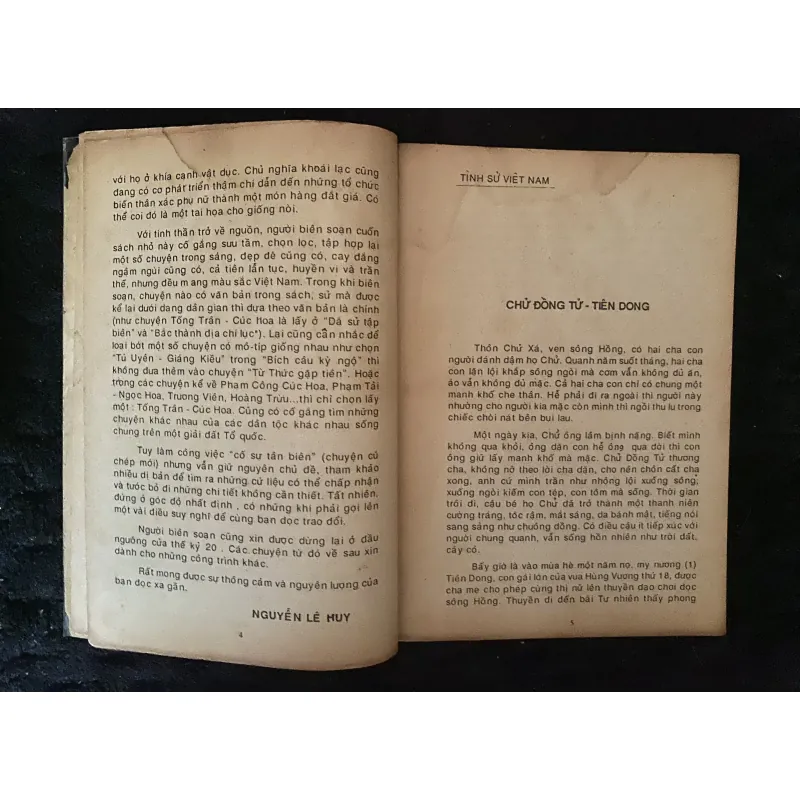 Tinh sử Việt Nam 991505