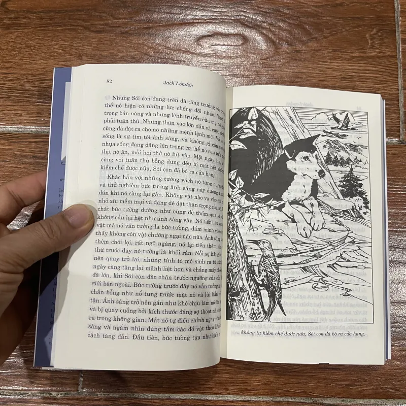 Nanh Trắng (k4) 337184