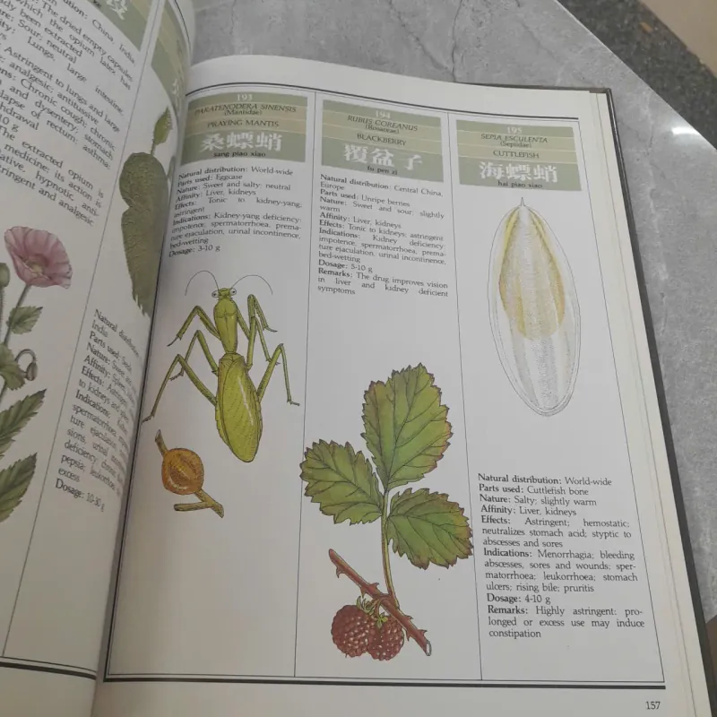 CHINESE HERBAL MEDICINE (THUỐC THẢO DƯỢC TRUNG QUỐC) - DANIEL P. REID 752411