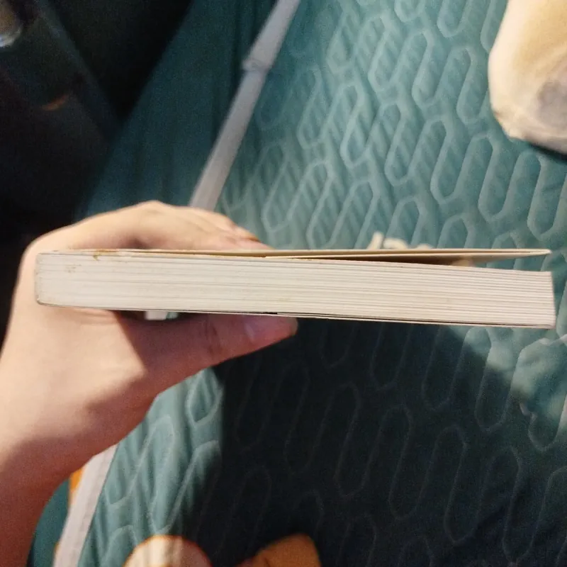 Án mạng bạch tuyết - Minato Kanae 996125