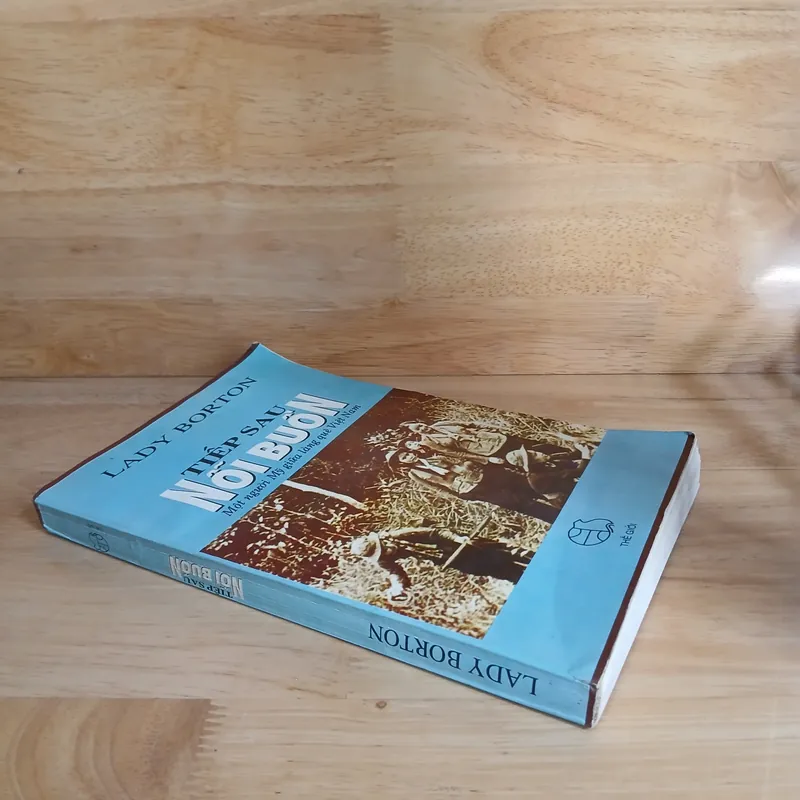 Tiếp Sau Nỗi Buồn (Một Người Mỹ Giữa Làng Quê Việt Nam) - Lady Borton 736948