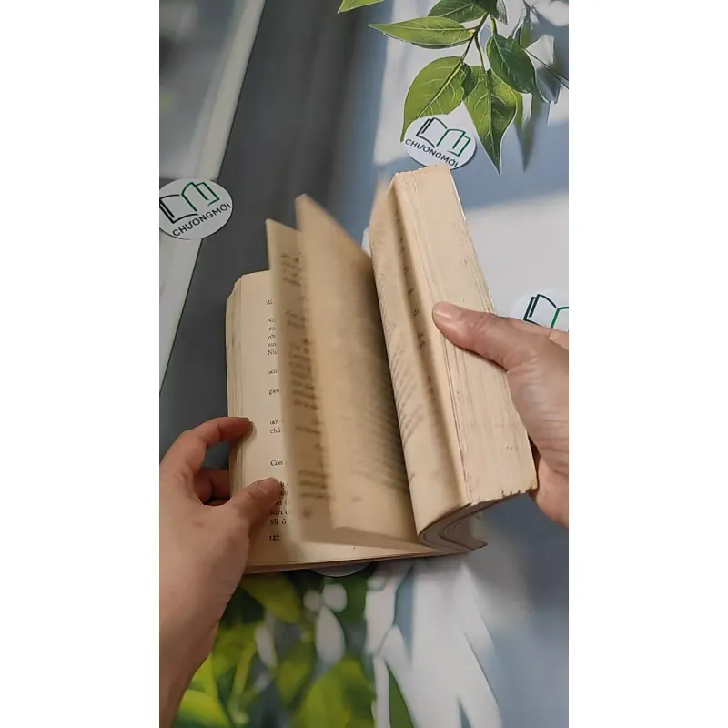 [XƯA] Đỉnh Đồi (1994) - Irwin Shaw 776066