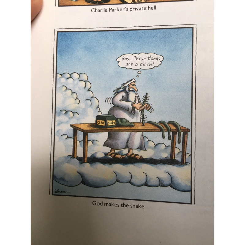 The Far Side 4 - Gary Larson 382873